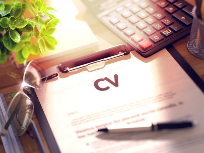 practicas profesionales en el curriculum