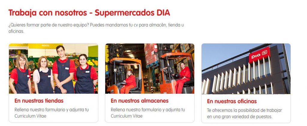 Curriculum para trabajar en dia