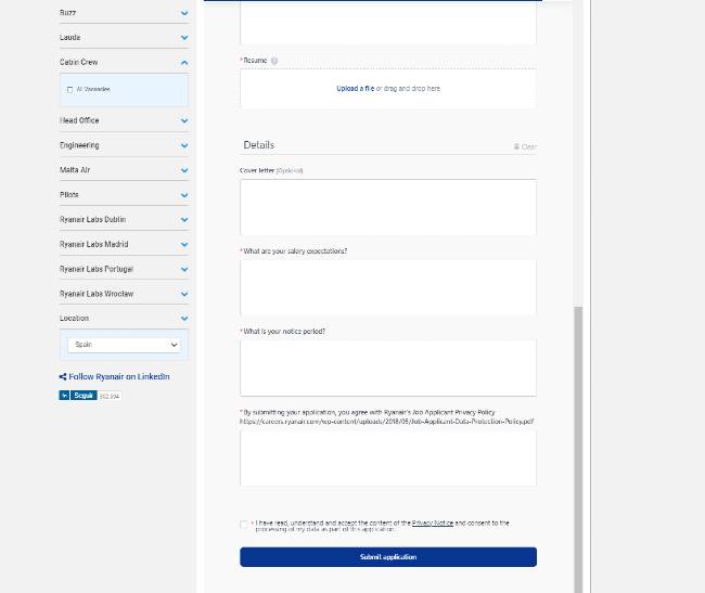 Pilot cv template word image