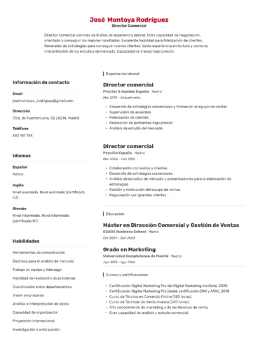 Director Comercial Director Comercial