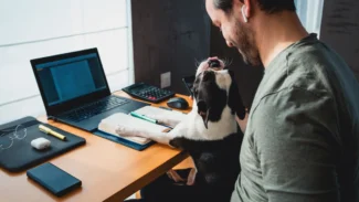 hombre trabajando desde casa con su perro en las rodillas y en el escritorio su ordenador y otro dispositivos electronicos